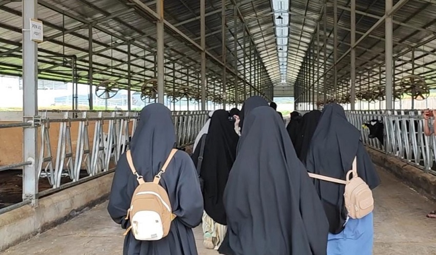 SMA DIBS Rihlah Edukasi