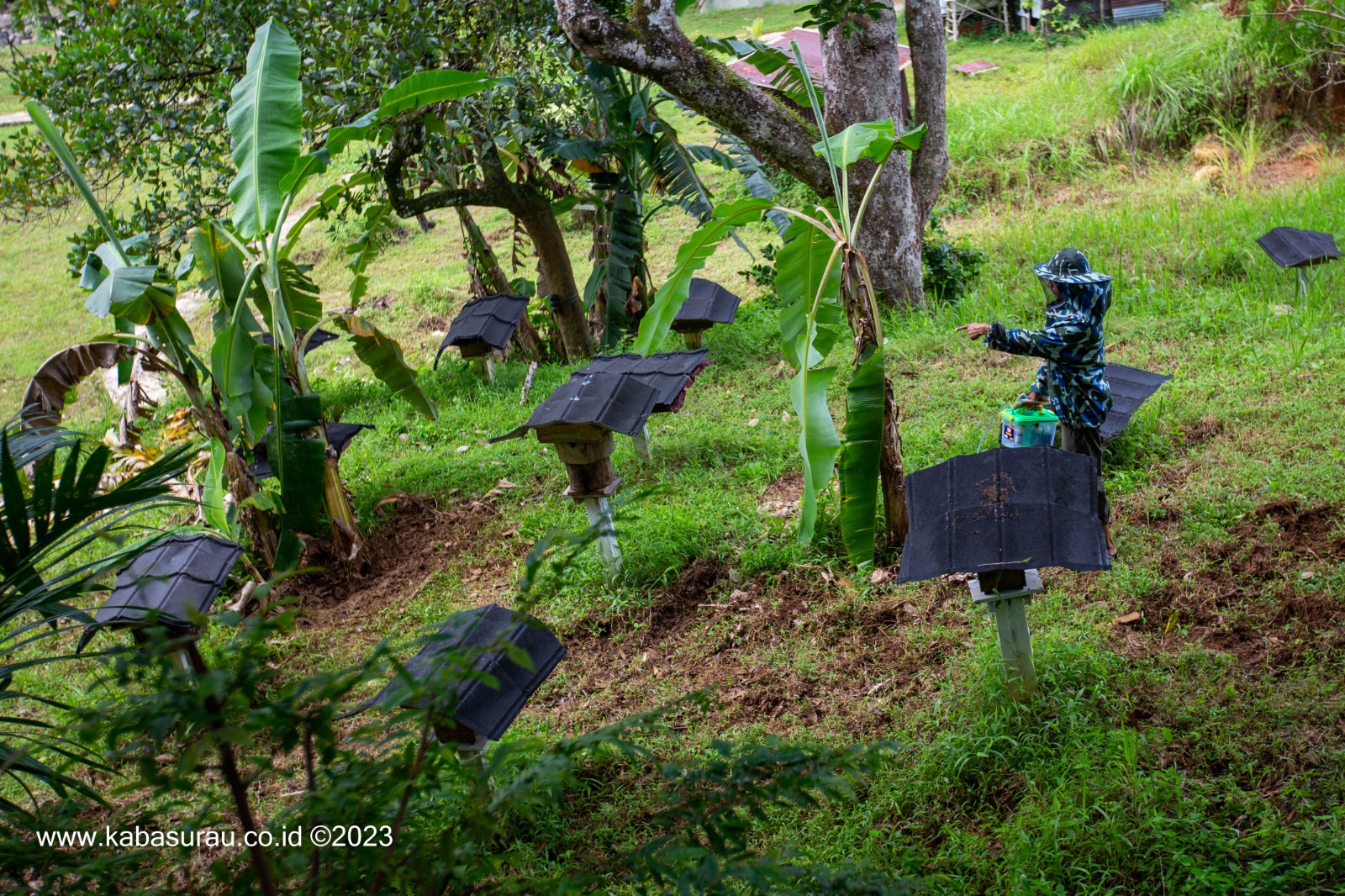 Pendapatan petani hutan Galo-Galo