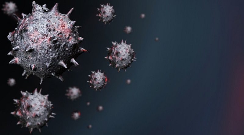 Virus Nipah Mewabah