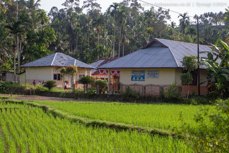 SDN 36 Sungai Limau