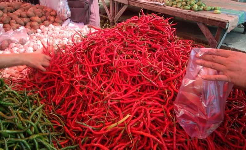 Harga Cabai Agam