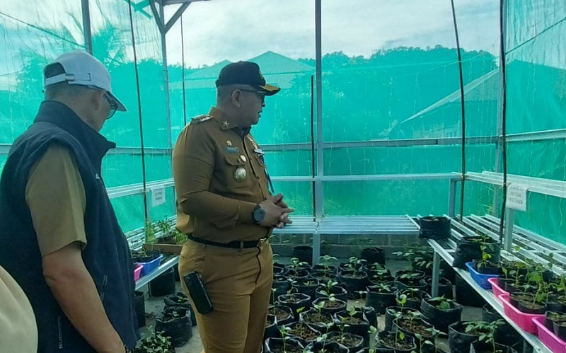 pangan padang