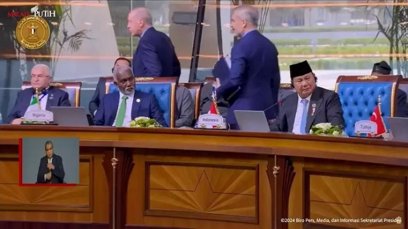 Delegasi KTT D-8